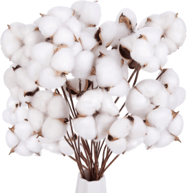 DomeStar 30PCS Natural Dried Cotton Stems, 15" Tall Cotton Sprigs for Vase Fillers DIY Crafts